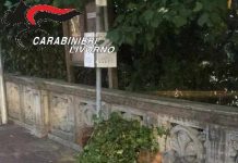 Distrugge le fioriere, vandalo mantovano incastrato da telecamere e telefonino