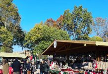 Nel week end tornano i Mercatini di Natale con un addobbo floreale della piazza tutto da scoprire