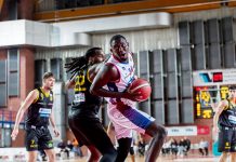 Basket Serie A2 maschile – Il consigliere Malavasi: “Stings, testa bassa e pedalare”