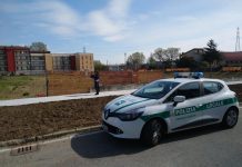 Scappa alla vista della polizia locale, folle inseguimento a Sant’Antonio