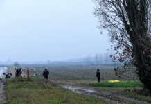 Cadavere di un 37enne ritrovato nei campi a Guidizzolo