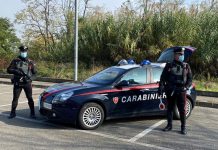 Spaccio tra Emilia e Mantovano, eseguite 14 misure cautelari cara1