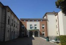 Asola – Camion fuori strada: l’autista in ospedale images