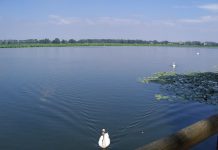 Varato il battello spazzino per le Valli del Mincio e il Lago Superiore lago