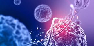 GIMEMA, la ricerca ematologica accelera verso cure sempre più efficaci Scompenso cardiaco in Sicilia, esperti a confronto sulla gestione delle cure Presentati gli aggiornamenti più rilevanti della ricerca scientifica clinica e traslazionale sulle malattie del sangue condotta in Italia dai principali ematologi del Paese: dalla riduzione della chemioterapia alla possibilità di vivere senza terapia