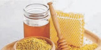 Integratori alimentari per l’inverno: ecco i migliori?