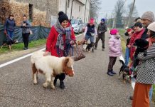 Bazza, grande partecipazione per la tradizionale festa di Sant’Antonio Abate