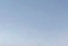 Un concerto per amanti della natura domenica alla Nautica di Sermide