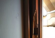 Porta forzata a colpi di piccone Anziana sola con i ladri in casa