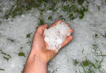 Grandinata nel Destra Secchia: danni per oltre un milione di euro gra