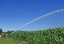 Black out per un getto irriguo sui fili: 1200 persone senza luce