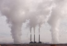 Portare la CO2 dall’aria alla terra per contrastare il cambiamento climatico