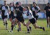 Rugby serie B – Tornano in campo i Caimani: esame San Benedetto del Tronto per la regina