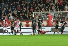 Calcio Serie C – Mantova, i biglietti a 1 euro riempiono il Martelli… di vicentini