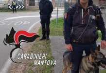 Bocconi avvelenati trovati per le vie di Pegognaga da un’unità cinofila anti-veleno