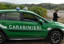 Pegognaga – Contro i bocconi avvelenati mini “task force” dei carabinieri cucu