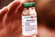 Trovato con ketamina e hashish: 23enne arrestato dai carabinieri