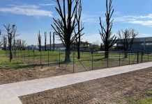 Roverbella – Parco delle Sette Querce, i lavori procedono spediti