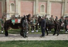Alpini, la carica dei quattrocento