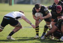 Rugby Top 10 – Viadana si fa azzannare dai Lyons (5-32)