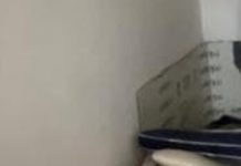 Cittadella tra furti, vandalismi e abitazioni occupate da abusivi