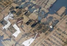 Flash d’arte: Giuseppe Acerbi e il papiro egizio