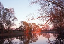 Canneto – Biodiversità e cura del verde: c’è il maxi intervento