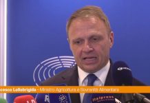 Rdc, Lollobrigida “No obbligo a lavoro ma nemmeno diritto a sussidio”