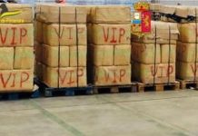 Maxi sequestro di droga al porto di Civitavecchia, arrestato camionista