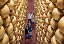 Caseifici Aperti: oltre 13.000 visitatori alla scoperta dei segreti del Parmigiano Reggiano Dop