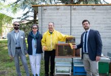 Ospedale amico delle api, il Poma in festa