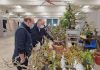 Esotika pet show e mondo bonsai alla Fiera Millenaria