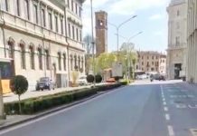 Attraversamenti a sorpresa: città e strade provinciali a rischio animali