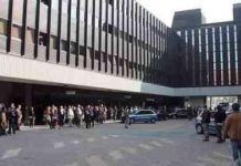 Casa-emporio di marijuana: in manette due giovani