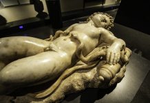 Maca: nella prossima stagione gli esiti di studi inediti maca3_2606896