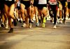 Podismo – Tutti di corsa a Curtatone il 14 maggio per la Maratona della Battaglia