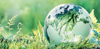 La Giornata della Terra: uniti per salvare il pianeta