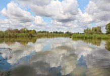 Esplorazioni gratuite nelle Paludi di Ostiglia con il Bioblitz 2023