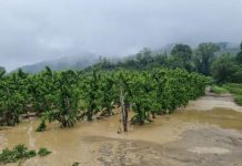 Bagnolo, raccolti 2mila euro da destinare al Comune romagnolo alluvionato di Brisighella