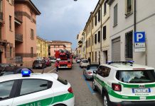 Incendio in un appartamento, i vigili del fuoco salvano due gatti