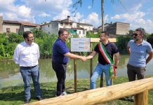 Canneto: nuovo verde e nuovi alberi tra le due centrali