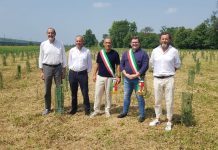 Arbolia, in Lombardia un nuovo bosco urbano da 3 mila piante