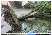 Alba di tempesta a Mantova e provincia. Basso Mantovano e Ostigliese flagellati da grandine e vento fortissimo