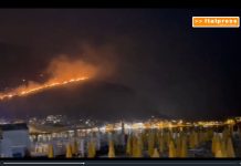 Notte di incendi a Palermo, case minacciate da roghi e chiuso aeroporto
