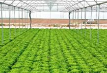 Agricoltura, da TerrAmore formazione nel segno della sostenibilità