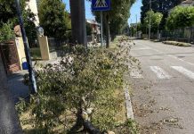 Colpo di coda del maltempo questa notte a Suzzara. Disagi anche al traffico ferroviario sulla Mantova-Cremona