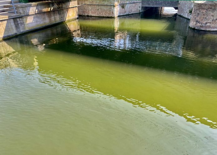 363959654_10229913596535253_5495271085971904552_n_2724034