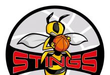 Basket – Stings reborn: matrimonio fatto con il Curtatone e si riparte dalla Serie C. Ma c’è già la querelle per il logo logo