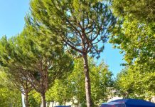 Atletica leggera – I giovanissimi della Libertas in raduno a Cesenatico