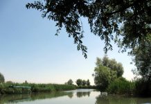 Festival del Benessere in Natura nel Parco del Mincio